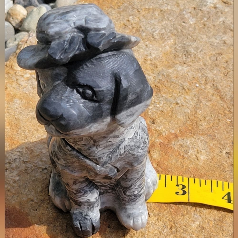 Picasso Dogโ - Picture 10 of 11